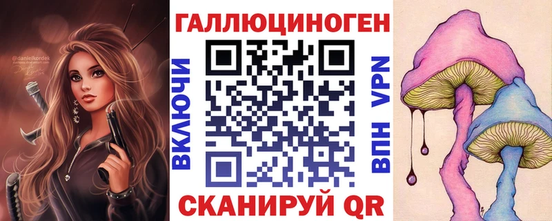 закладки Иваново Галлюциногенные грибы MAGIC MUSHROOMS